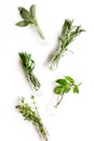 Mint, sage, rosemary, thyme in glass bottles white background Royalty Free Stock Photo