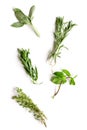 Mint, sage, rosemary, thyme - tufts of herbs white background