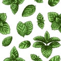 Mint seamless pattern. Green peppermint leaves, spearmint healing herb. Melissa botanical vector wallpaper print texture Royalty Free Stock Photo