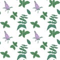 Mint seamless pattern