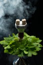 Mint smoking hookah Royalty Free Stock Photo