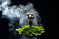 Mint smoking hookah Royalty Free Stock Photo