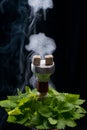 Mint smoking hookah Royalty Free Stock Photo