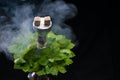 Mint smoking hookah Royalty Free Stock Photo