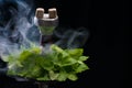 Mint smoking hookah Royalty Free Stock Photo