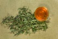 Mint, spearmint. Dry herbs. Herbal medicine, phytotherapy medici