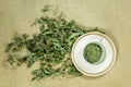 Mint, spearmint. Dry herbs. Herbal medicine, phytotherapy medici Royalty Free Stock Photo