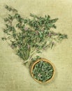 Mint, spearmint, peppermint. Dried herbs. Herbal medicine, phytotherapy medicinal herbs.