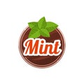 Mint Spice. Vector Illustration.