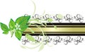 Mint sprig on the background of decorative banner