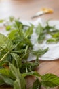 Mint sprigs on a wooden table. Aromatic mint on a wooden background