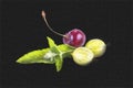 Mint, sweet cherry and gooseberry. Imitation of the picture. Pastel