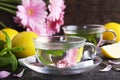 Mint tea Royalty Free Stock Photo