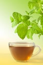 Mint tea Royalty Free Stock Photo