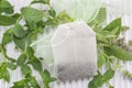 Mint tea bag and fresh mint plant Royalty Free Stock Photo