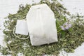 Mint tea bag and fresh mint plant Royalty Free Stock Photo