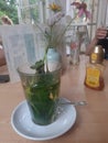 Mint Tea Cafe Glass Honey Fresh