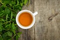 Mint Tea Royalty Free Stock Photo