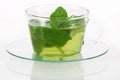 Mint tea Royalty Free Stock Photo