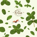 Mint tea pattern