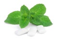 Mint and three pads of chewing gum Royalty Free Stock Photo