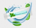 Mint toothpaste. Water splash, mint leaves, toothpaste tube isolated on transparent background. Dental vectot