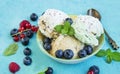 Mint,vanilla and cocoa icecream with berries and mint leaves Royalty Free Stock Photo