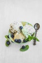 Mint,vanilla and cocoa icecream with blueberries and mint leaves Royalty Free Stock Photo