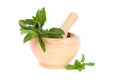 Mint in a wooden pounder