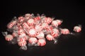 Mints Royalty Free Stock Photo