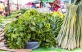 Mints leaf in display market, bangkok, thailand