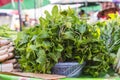 Mints leaf in display market, bangkok