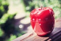 45 Minute Kitchen Egg Timer in Apple Shape Standing On A Handrail