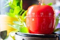 10 Minutes - Red Kitchen Egg Timer Placed On A Flowerpot Royalty Free Stock Photo