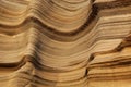 Miocene shallow-water limestones from Sao Nicolau island, Cape Verde