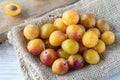 Mirabelle plums Royalty Free Stock Photo