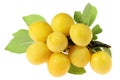 Mirabelle plums Royalty Free Stock Photo