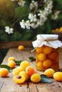 Mirabelle plums and jar of jam on a wooden table, Royalty Free Stock Photo