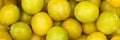 Mirabelles fruits mirabelle plum fruit background panorama