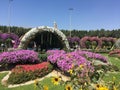 Miracle Flowers Garden