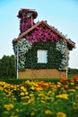 Miracle garden dubai Royalty Free Stock Photo