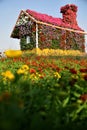 Miracle garden dubai Royalty Free Stock Photo