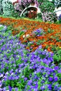 Miracle garden dubai Royalty Free Stock Photo