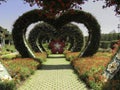 miracle gardens heart shaped flower mural path