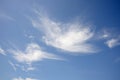Bird shaped cloud in bright blue sky. Royalty Free Stock Photo