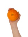 A miracle orange fruit