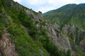 Miracle Stone Mushrooms Montage, Panorama of the big size.