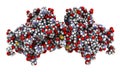 Miraculin miraculin-like protein from Murraya koenigii or curry tree. Miraculin is a protein with sweetening properties,.