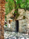 Trees Growing From Roof, Saint Theodora Church, Peloponnese, Greece