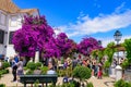 Miradouro de Santa Luzia with colorful flowers in Lisbon, Portugal